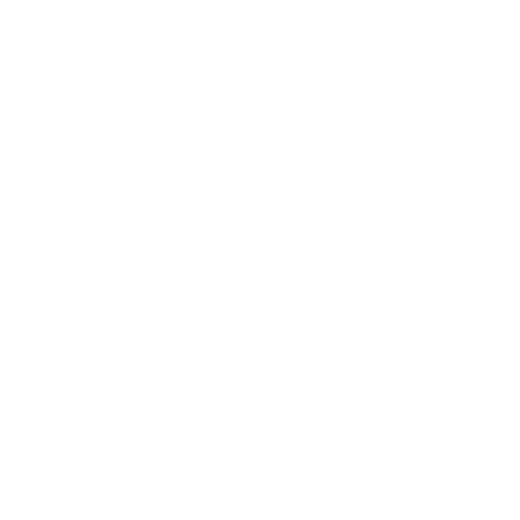 Instagram Icon